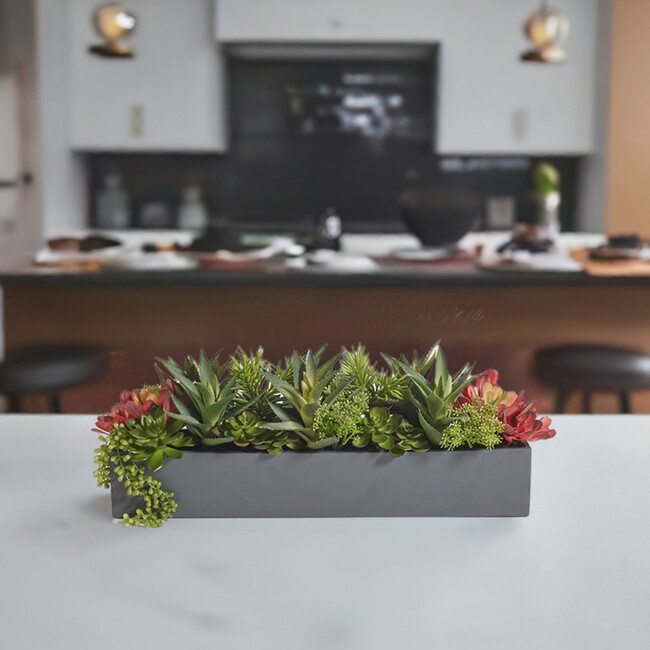 Arrangement Succulent Pot Gray 27in - Plants - 3