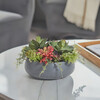 Arrangement Succulent Round Pot Gray 14in - Plants - 2