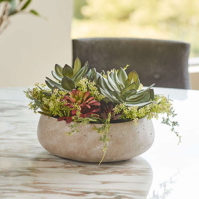 Arrangement Succulent Round Pot Natural 14in - Plants - 2