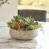 Arrangement Succulent Round Pot Natural 14in - Plants - 2