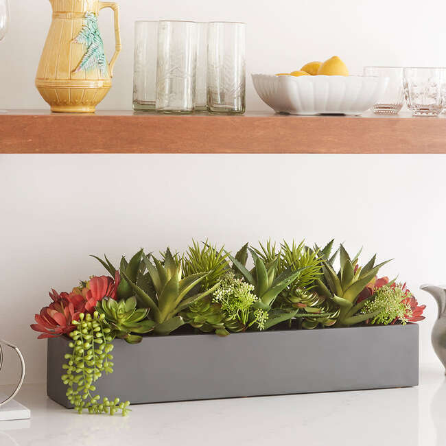 Arrangement Succulent Pot Gray 27in - Plants - 4