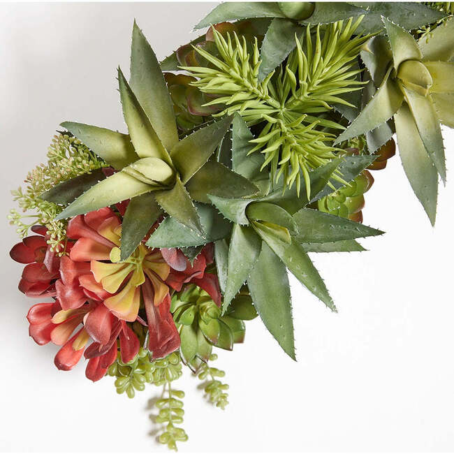Arrangement Succulent Pot Natural 27in - Plants - 3