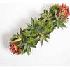 Arrangement Succulent Pot Gray 27in - Plants - 5