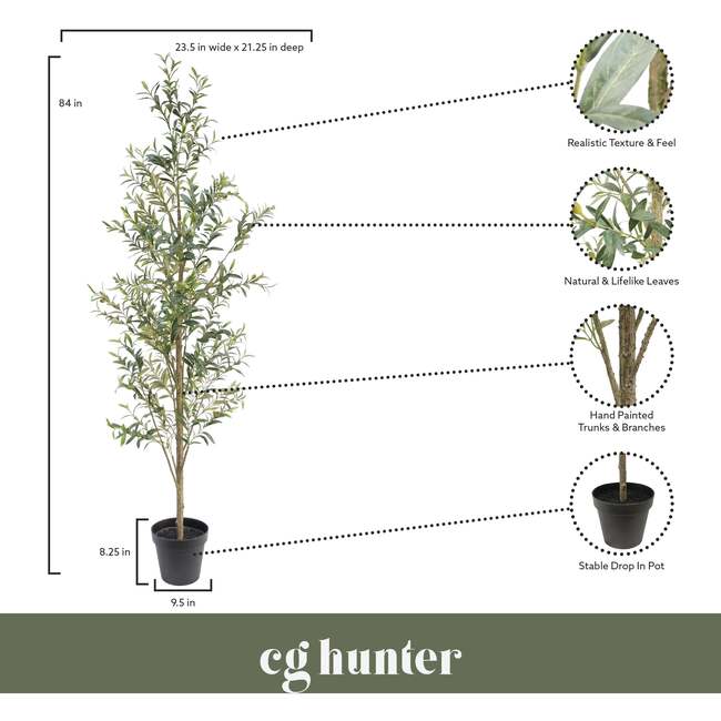 Tree Olive Slim Grower 7ft - Plants - 6