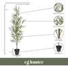 Tree Olive Slim Grower 7ft - Plants - 6
