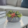 Arrangement Succulent Round Pot Gray 14in - Plants - 3