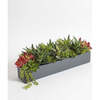 Arrangement Succulent Pot Gray 27in - Plants - 6