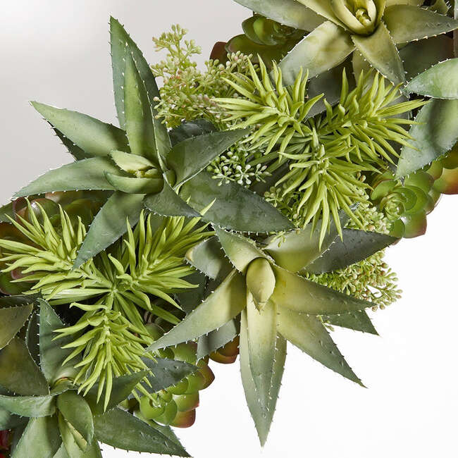 Arrangement Succulent Pot Natural 27in - Plants - 4