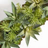 Arrangement Succulent Pot Natural 27in - Plants - 4