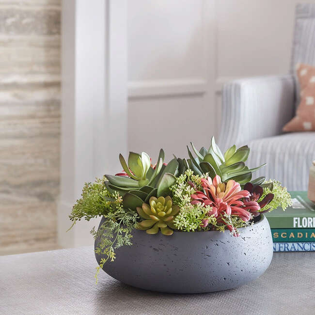 Arrangement Succulent Round Pot Gray 14in - Plants - 4