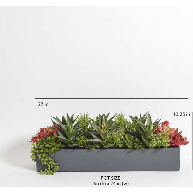 Arrangement Succulent Pot Natural 27in - Plants - 5