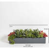 Arrangement Succulent Pot Natural 27in - Plants - 5