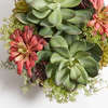 Arrangement Succulent Round Pot Natural 14in - Plants - 4