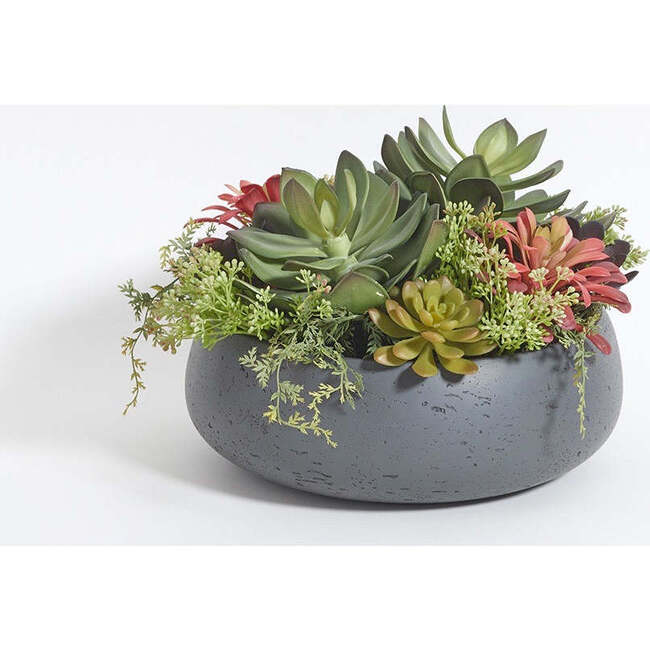 Arrangement Succulent Round Pot Gray 14in - Plants - 5