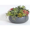 Arrangement Succulent Round Pot Gray 14in - Plants - 5