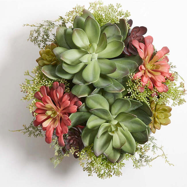 Arrangement Succulent Round Pot Natural 14in - Plants - 5