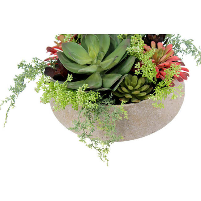 Arrangement Succulent Round Pot Natural 14in - Plants - 6