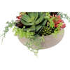 Arrangement Succulent Round Pot Natural 14in - Plants - 6