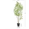 Tree Ficus Heart Grower 7ft - Plants - 6