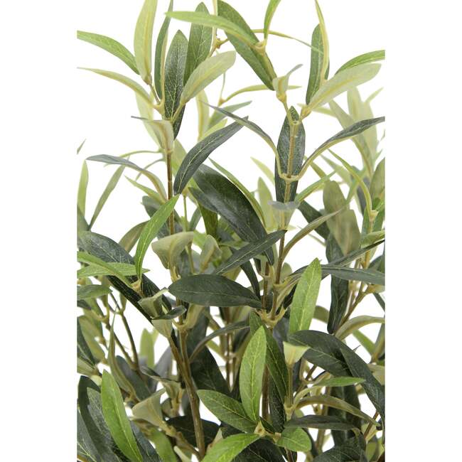 Arrangement Olive Vase 30in - Plants - 6