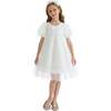 Embroidered Tulle Milan Dress, White - Dresses - 2