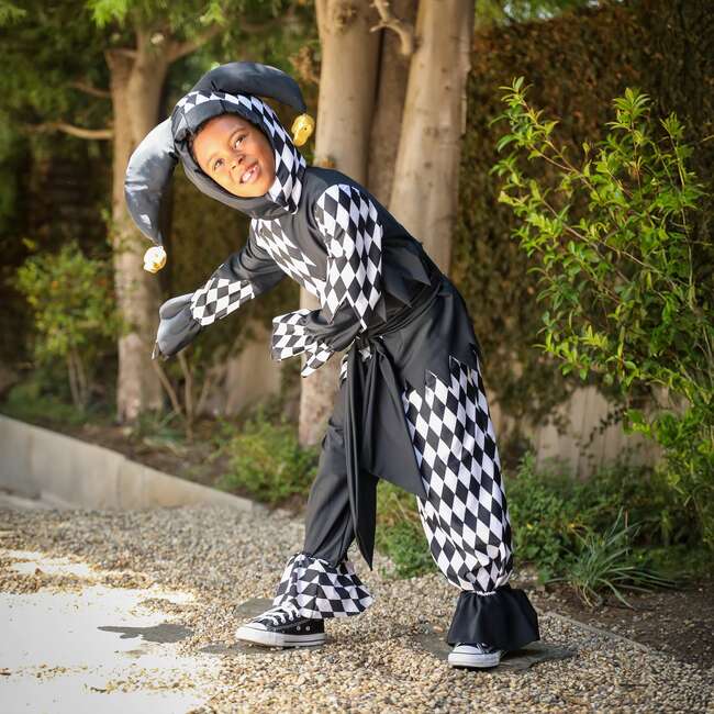 A Leading Role Premium Child Jester Dress Up