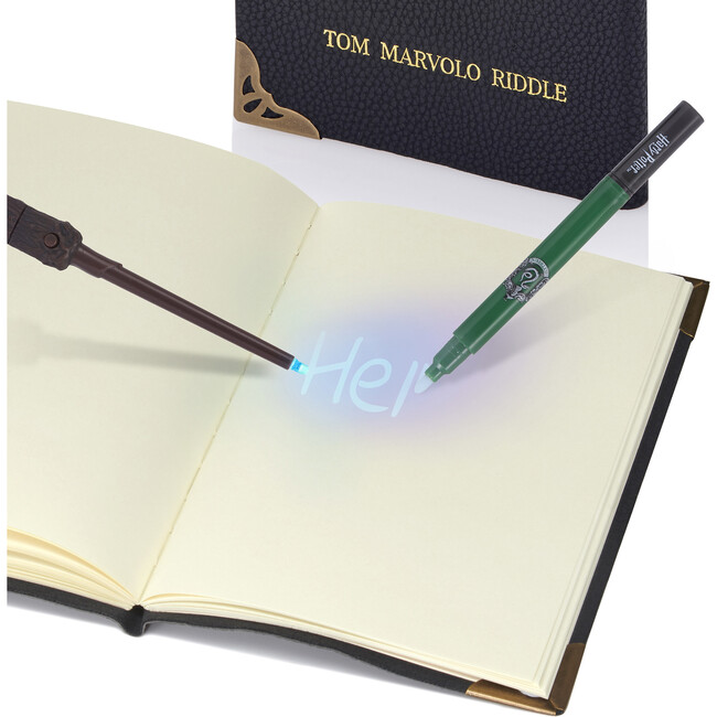 Harry Potter: Diary - Tom Riddle - Books - 4