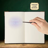 Harry Potter: Diary - Tom Riddle - Books - 6