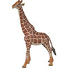 Animals Set: Safari - 5pc - Action Figures - 7