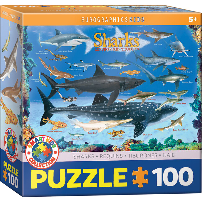 Smart Kids: Shark Chart - 100 pc Puzzle