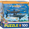 Smart Kids: Shark Chart - 100 pc Puzzle - Puzzles - 1 - thumbnail