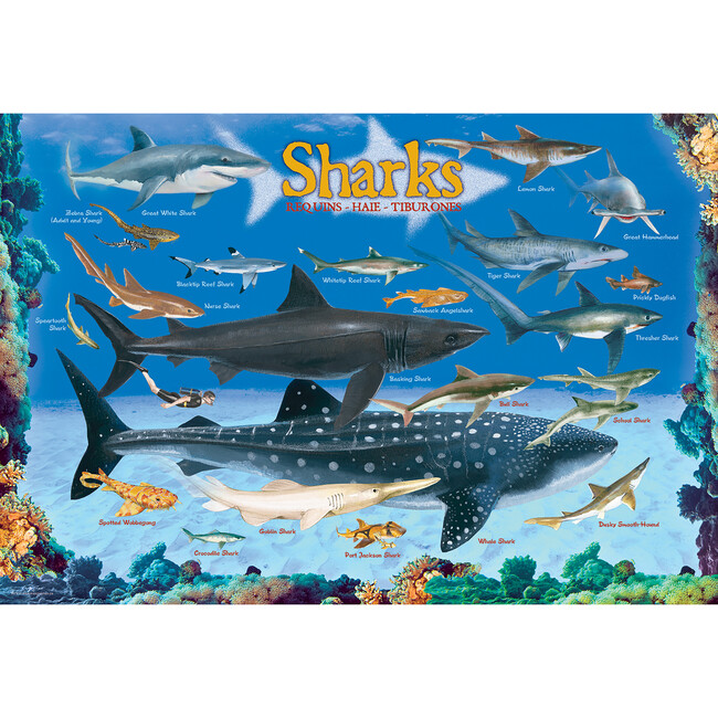 Smart Kids: Shark Chart - 100 pc Puzzle - Puzzles - 2