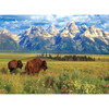 Grand Teton National Park - 1000 pc Puzzle - Puzzles - 2