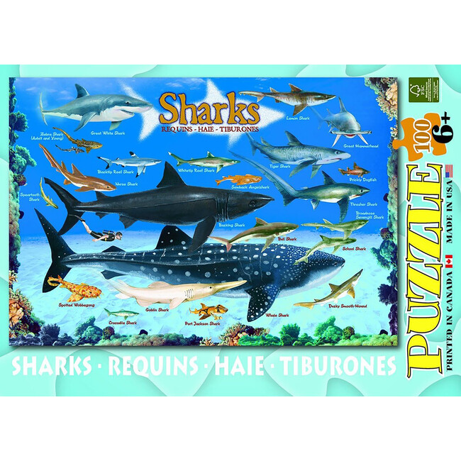 Smart Kids: Shark Chart - 100 pc Puzzle - Puzzles - 6