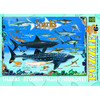 Smart Kids: Shark Chart - 100 pc Puzzle - Puzzles - 6