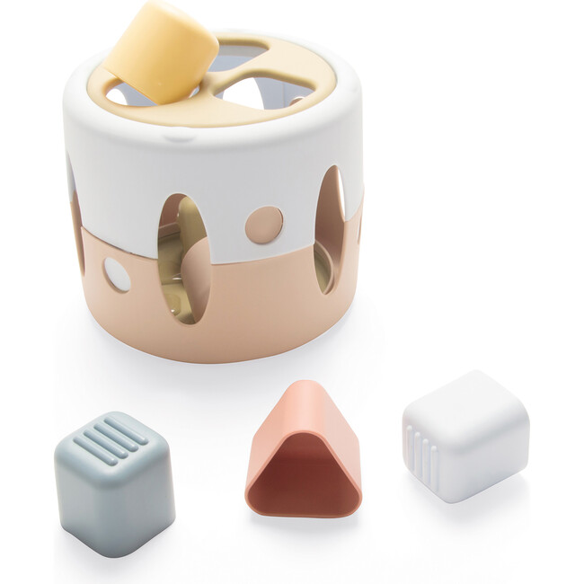Tiny BIO: Shape Sorter