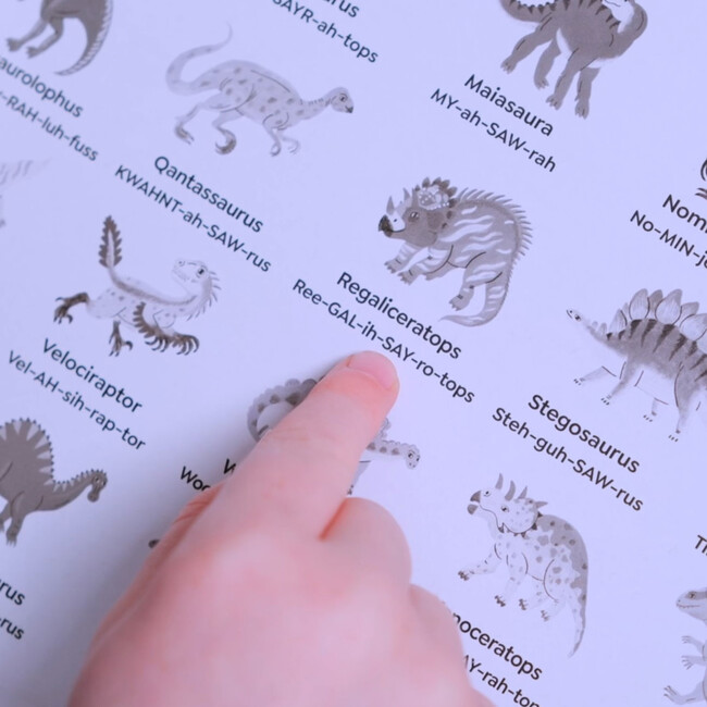 Bingo - Dinosaurs - Games - 7