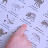 Bingo - Dinosaurs - Games - 7
