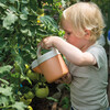 BIO Playset: Sand & Garden - 4pcs - Play Kits - 3