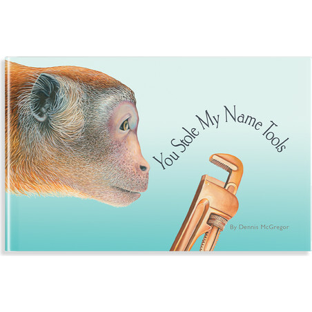 You Stole My Name Tools