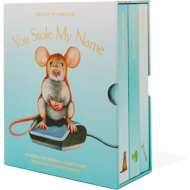 You Stole My Name Board Book Box Set