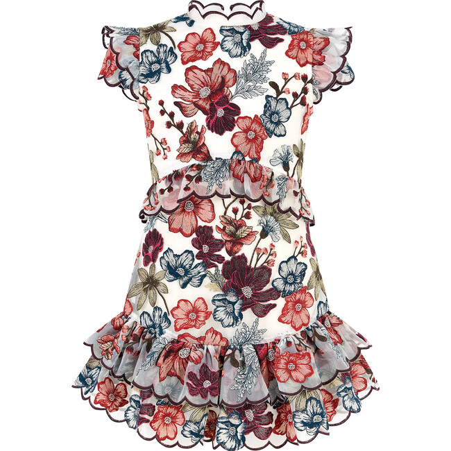 Elana Embroidered Mini Dress, Floral
