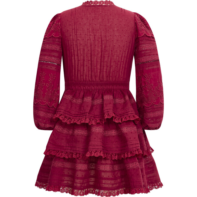Betty Embroidered Sleeve Mini Dress, Berry - Dresses - 2