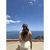 Bandana, Ocean Picnic - Hair Accessories - 3