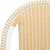 Torino Side Chair Set Of 2, Clear - Accent Seating - 3