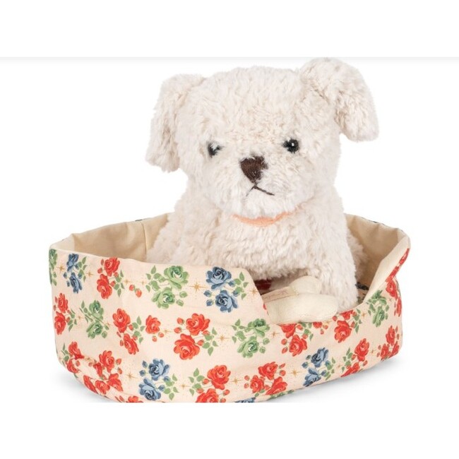 Madeleine Puppy