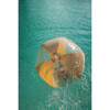 Large Beach Ball- Cherry Blush Transparent Confetti - Outdoor Games - 2