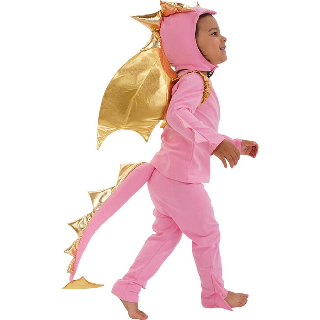 Pink Sky Dragon Costume