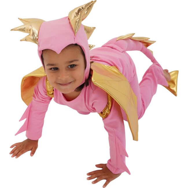 Pink Sky Dragon Costume - Costumes - 5