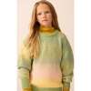 Alpaca Weekend Sweater in Ombre - Sweaters - 2